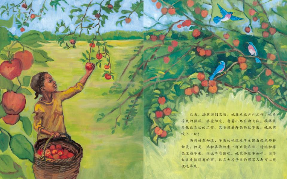 自由的苹果 (06),绘本,绘本故事,绘本阅读,故事书,童书,图画书,课外阅读